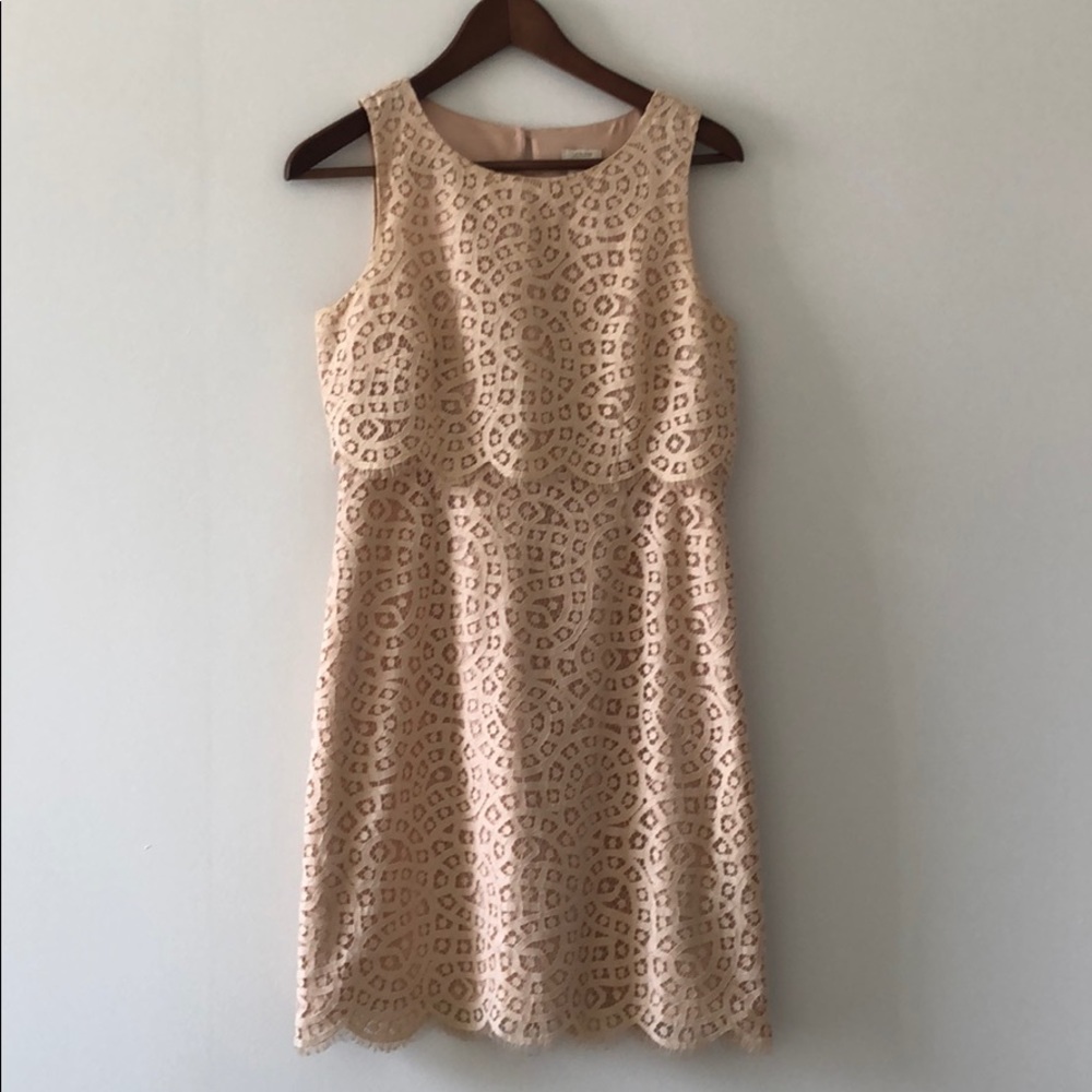 J. crew lace sheath dress size 2